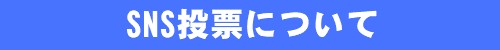SNS投票について
